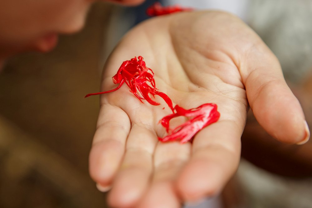 Macis appena tolto dalla noce moscata fotografia