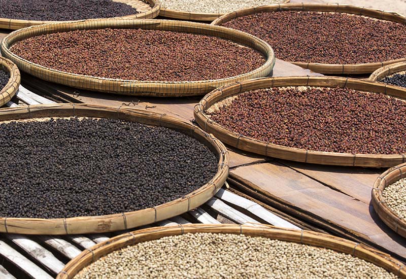 varietà di pepe di Kampot